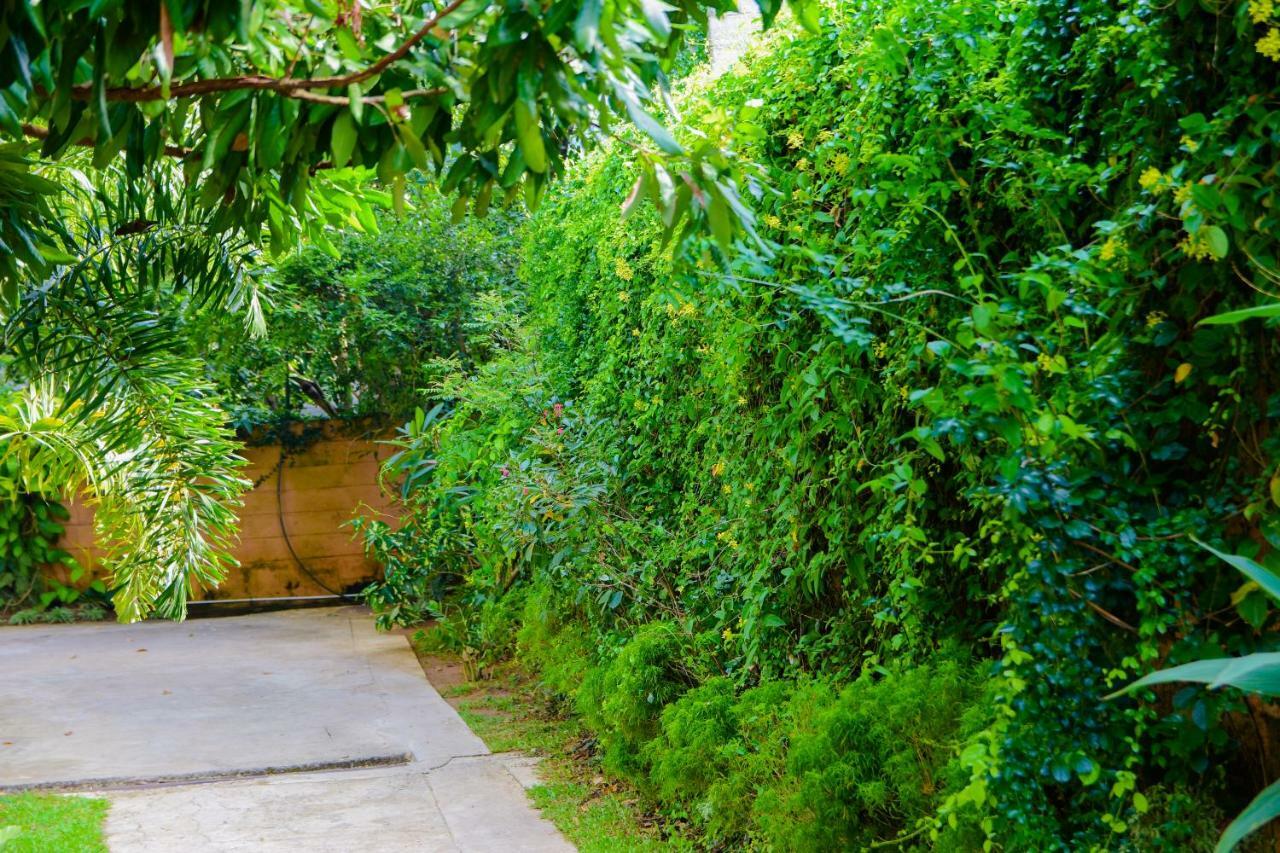 Homestay Garden Rest Kandy Kültér fotó