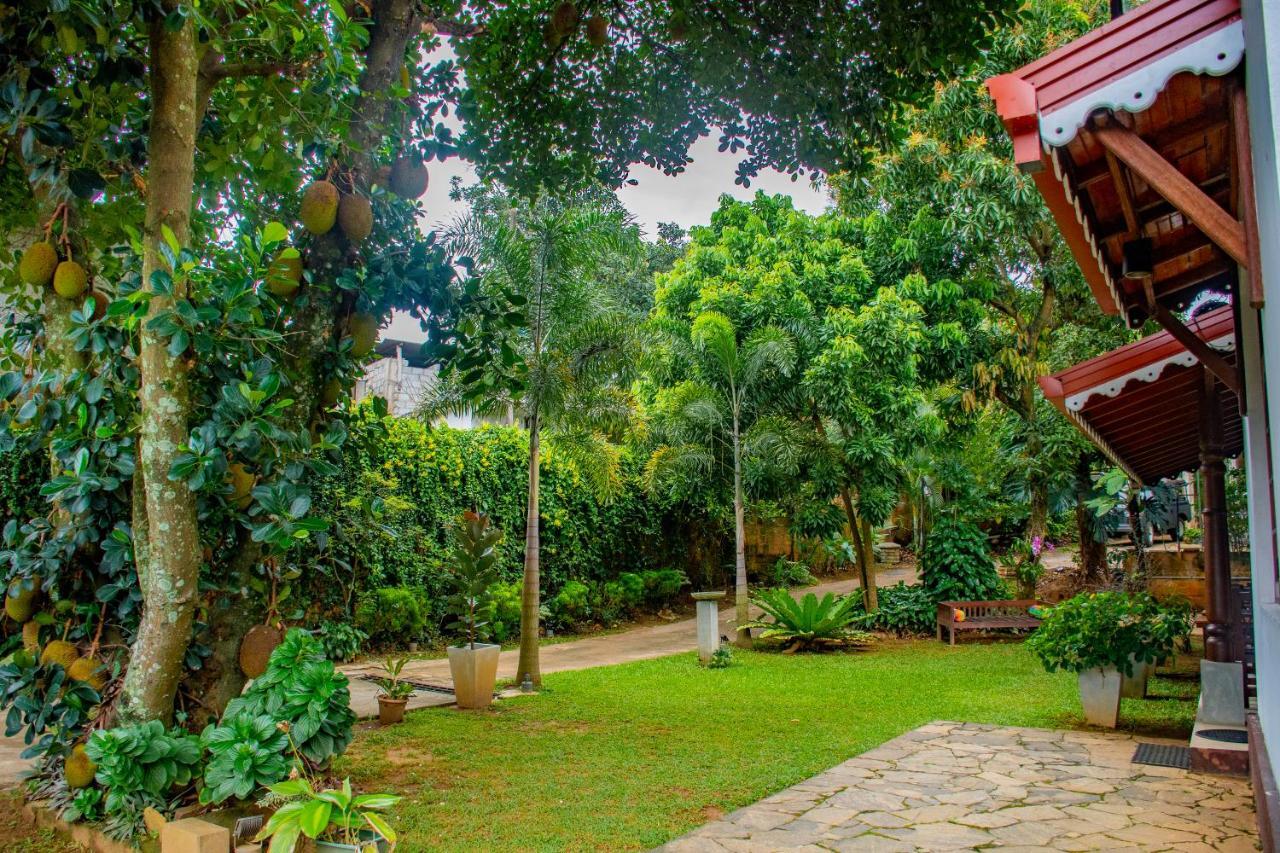Homestay Garden Rest Kandy Kültér fotó