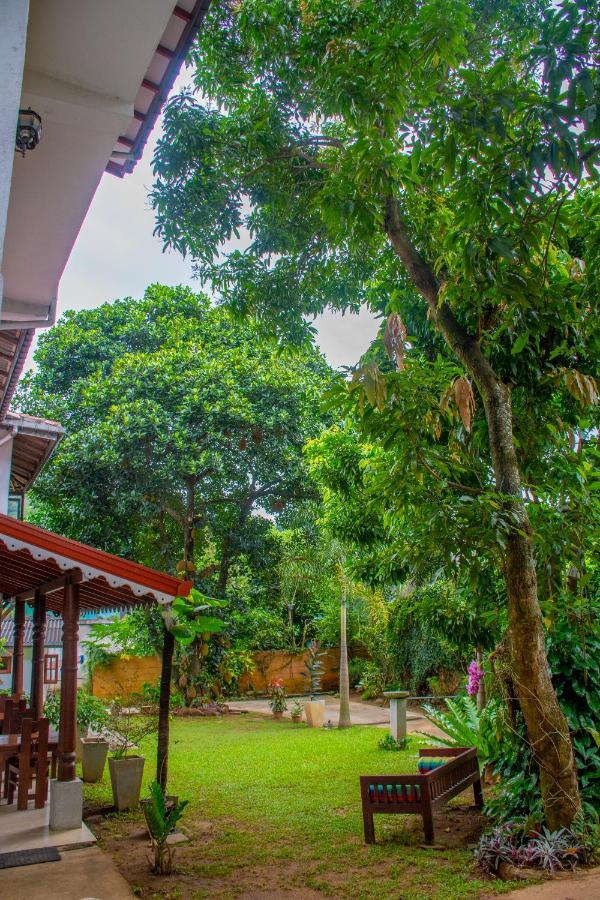 Homestay Garden Rest Kandy Kültér fotó